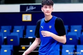 NGSPORTS-Ning新星回归赛场表现惊艳，塞尔维亚队未来可期！的简单介绍